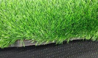 塑料草坪有味掉色,有毒吗 生产塑料草坪厂家