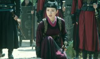 四大名捕2中姬瑶花的师姐是谁饰演的 四大名捕2百度影音