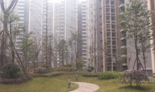 四川文化产业职业学院有哪些专业及什么专业好 四川文化产业学院