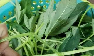 冻红薯做法 红薯的多种做法大全