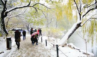 刀郎在新疆演唱的歌 刀郎乌鲁木齐演唱会