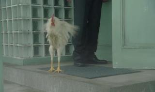 世界奇妙物语几年开播 世界奇妙物语2012秋