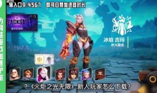 火炬之光2区域网络和单机有什么区别么 火炬之光2可以联机吗