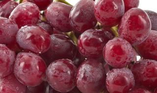 X朵红色玫瑰代表什么 我会送你红色玫瑰