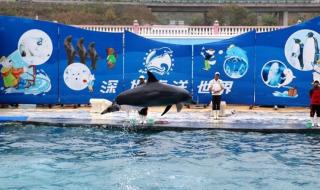 深圳海洋世界门票