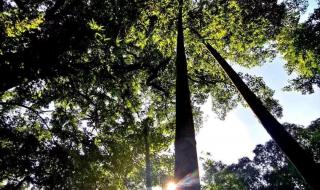 2023五一调休补周几的课 五一调休安排