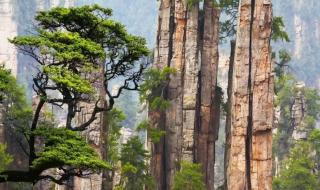 张家界值得去玩吗 张家界旅游有哪些坑