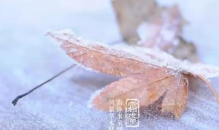 为什么天气变冷猫咪总叫 天气说变冷就变冷