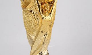 世界杯大力神杯有几个 世界杯所有奖杯